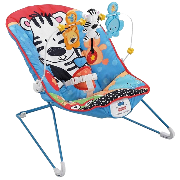 Adorable Baby Bouncer